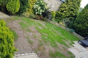 before-artificial-grass-12