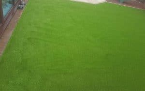 lazylawn-wylam-1