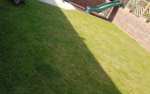 lazylawn-wylam-2