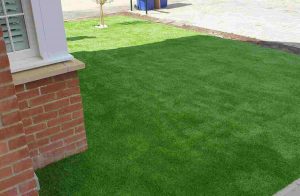 lazylawn-signature-ponteland