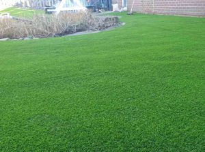 LazyLawn-Grass