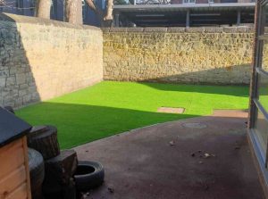 LazyLawn-Wonder-grass