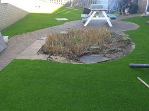 LazyLawn