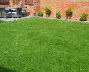 grass-front