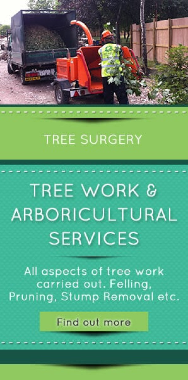 Grounds Maintenance Slider Landscaping Company Newcastle, Landscaper